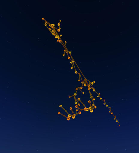 Bottom View (bones/welds only)